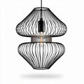 Black wire pendant lamp with modern design suitable for indoor lighting 30 x 30 x 45cm